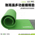 Cao su chịu nhiệt LUOWEI LW-M2 (450x205x3mm)